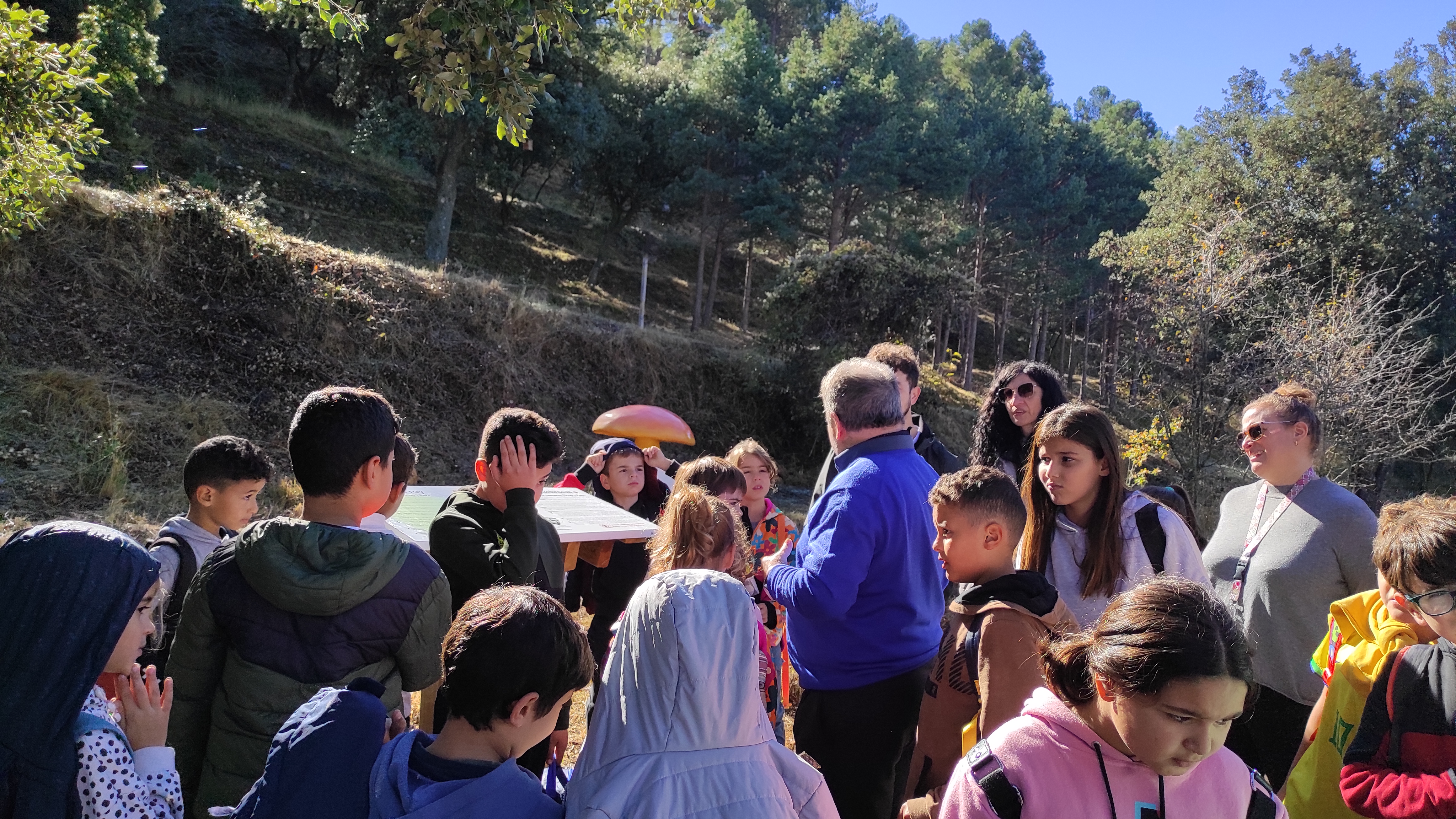 Copia de IMG_20251030_113908.jpg